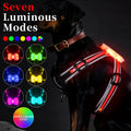 USB rechargeable luminous dog lead with seven colour-changing modes and nylon construction