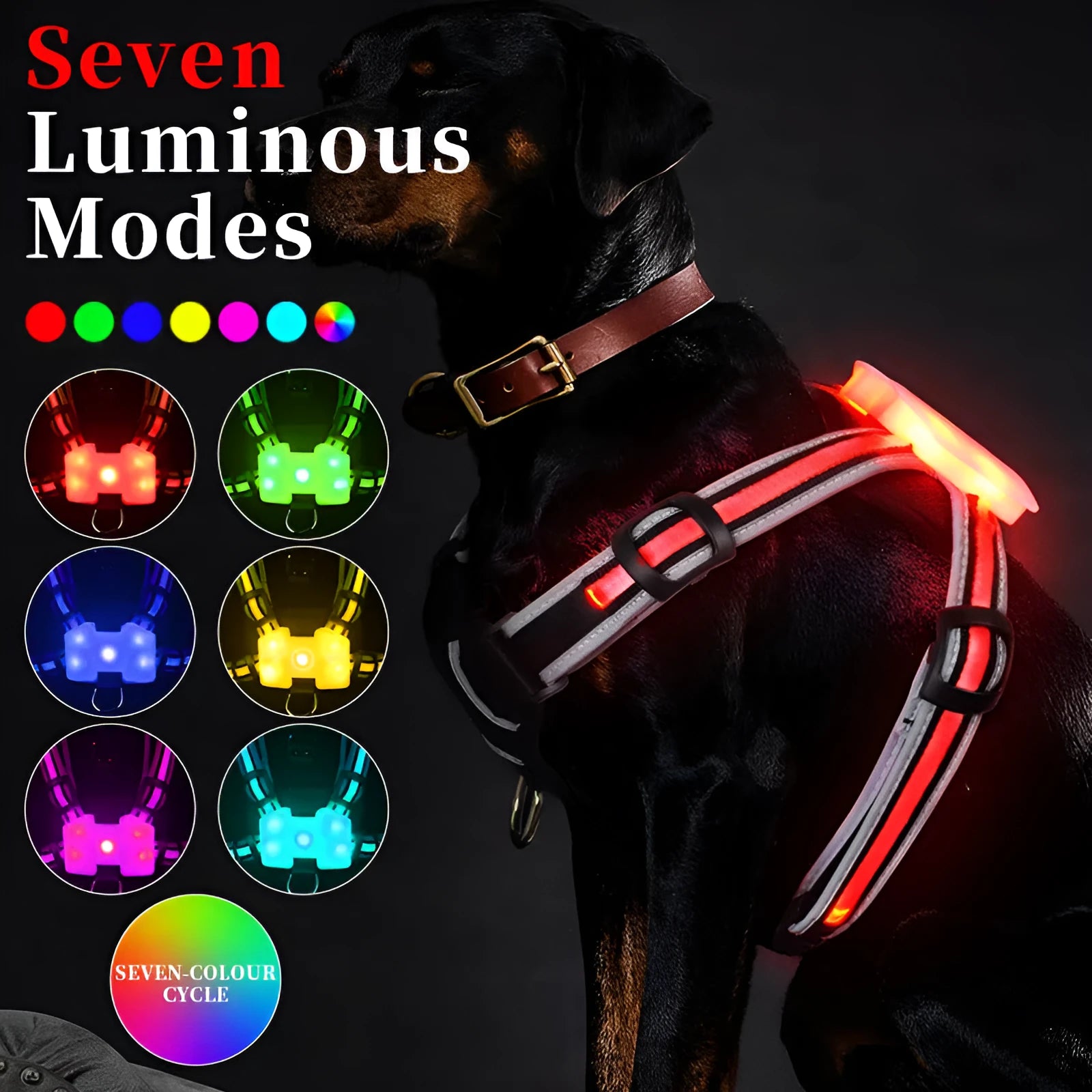 USB rechargeable luminous dog lead with seven colour-changing modes and nylon construction