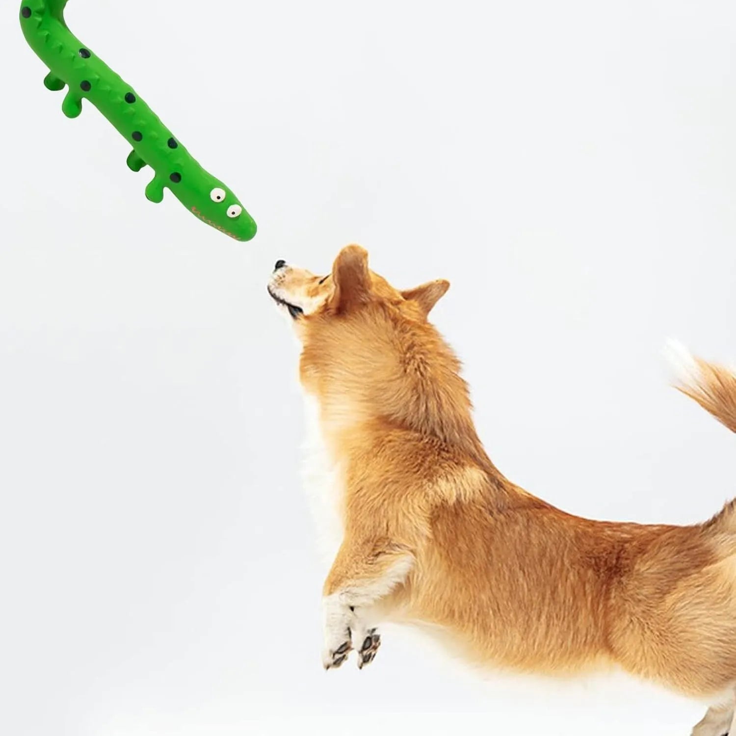 Green cartoon lizard-shaped latex dog chew toy with squeaker on a white background