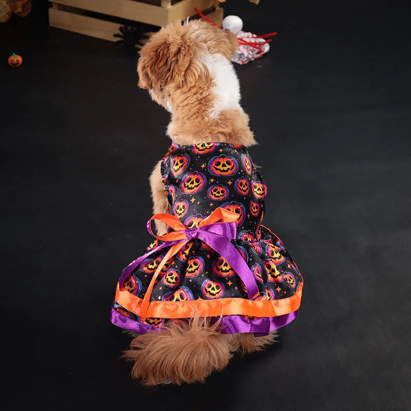 Halloween dog skirt costume with colourful pumpkin pattern on pet