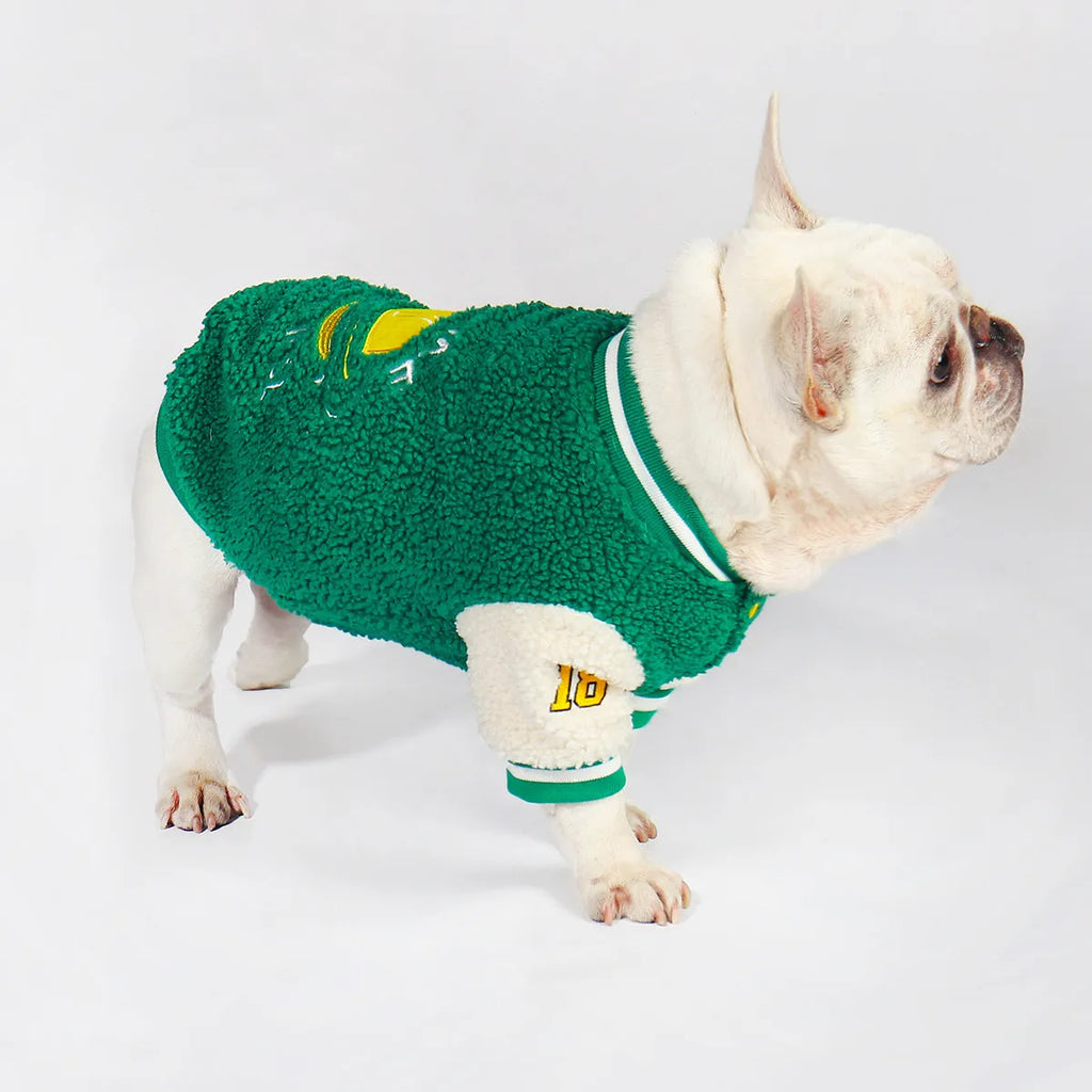Green fleece-lined cotton winter coat for large dogs on a white background