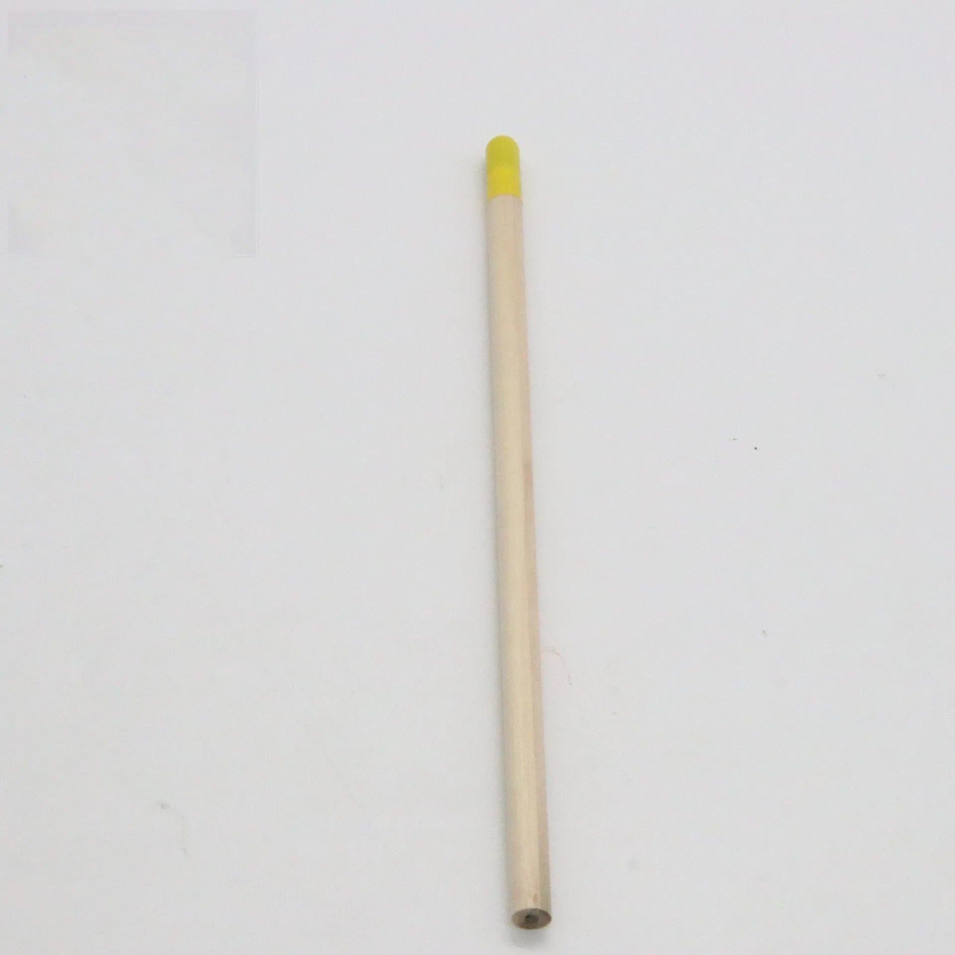 Seed pencil refill with coloured degradable capsule containing flower and herb seeds