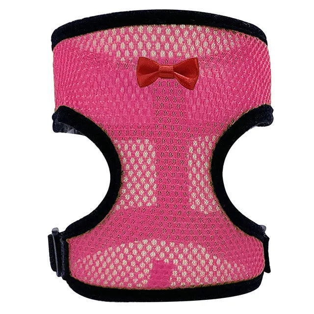 Poultry clothing set with chicken vest, matching collar and 110cm traction rope in multiple colour options