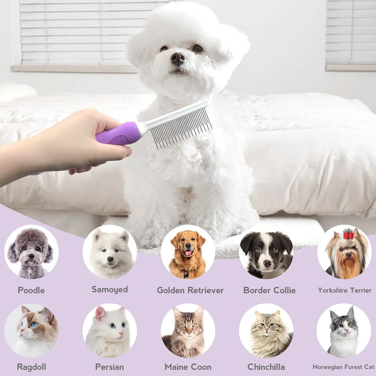 Purple pet detangling comb with stainless steel long and short teeth on a white background