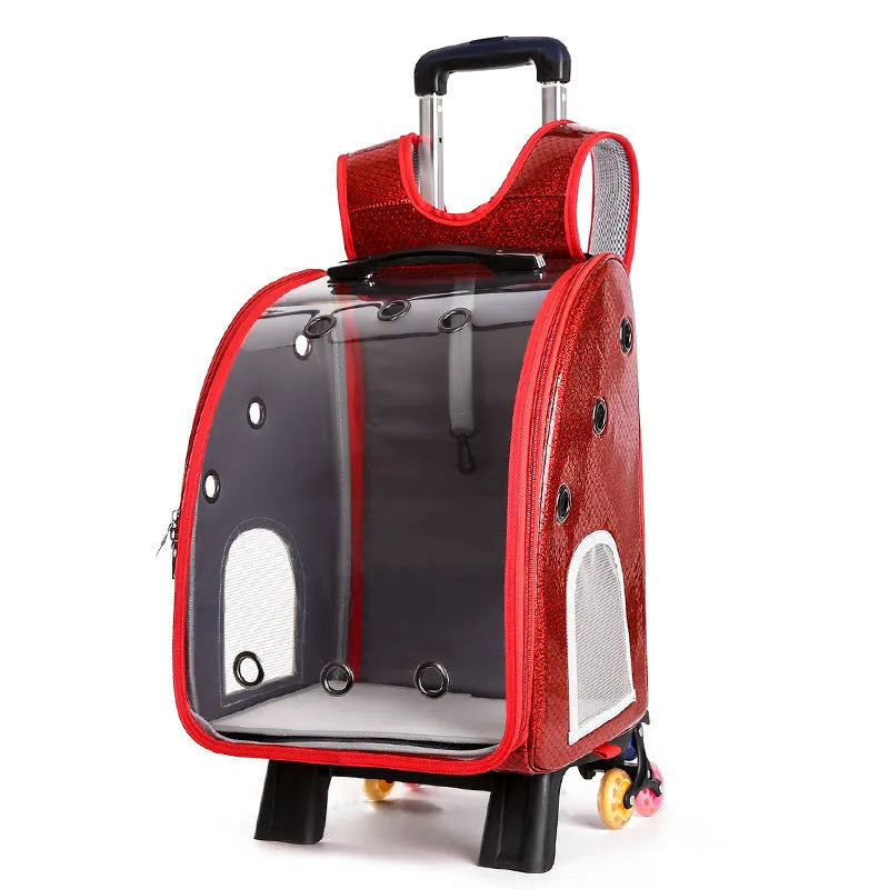 Transparent pet trolley shoulder bag with folding frame for small dogs and cats