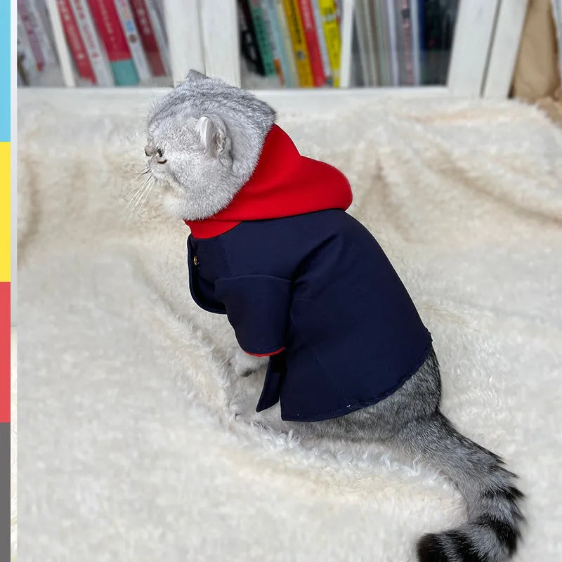 Tiger stripe hoodie costume on pet for photography