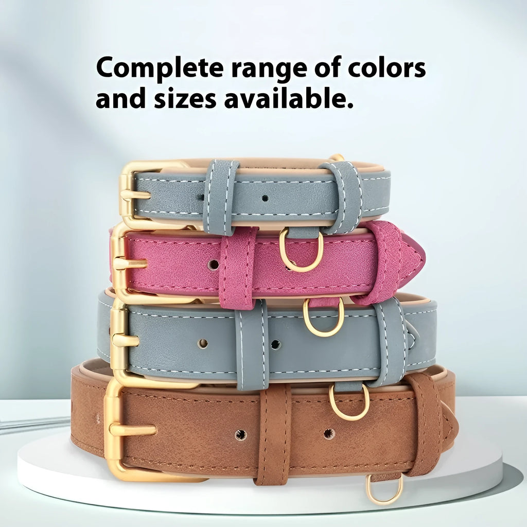 Blue double-layer leather dog collar and matching lead for medium-sized dogs.