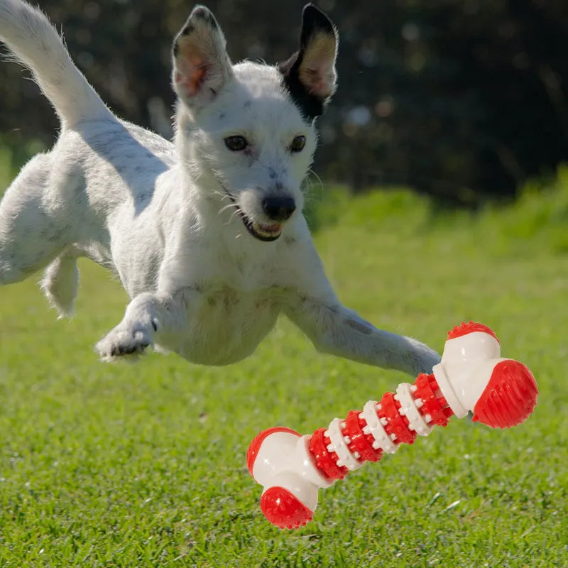Blue bone-shaped interactive dog toy with treat holder for small breed teething and training