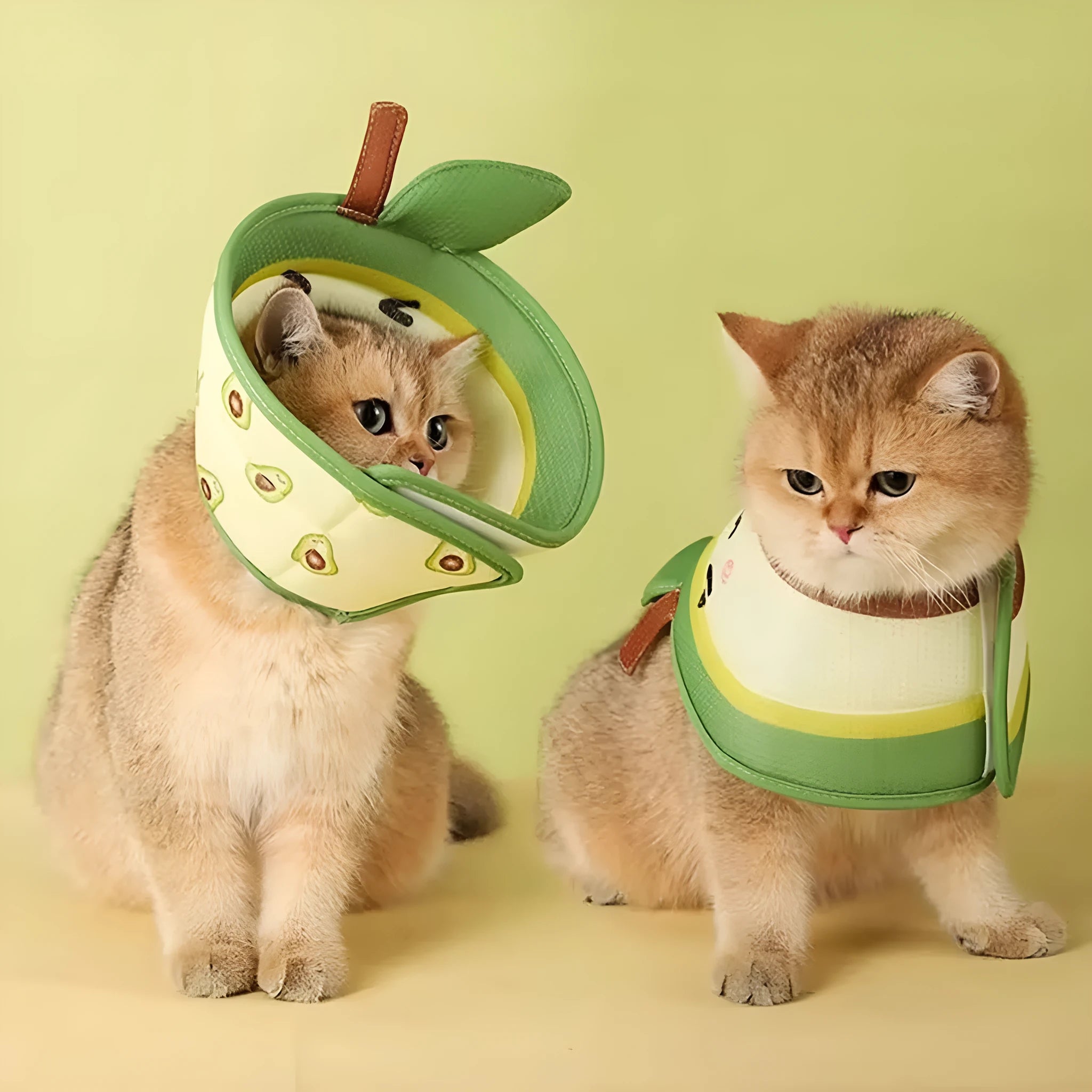 Soft adjustable cat recovery cone collar in EPE material with folding edges