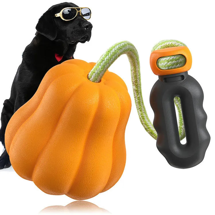 Orange pumpkin-shaped plastic dog chew toy with blue rope attached for tugging and fetching