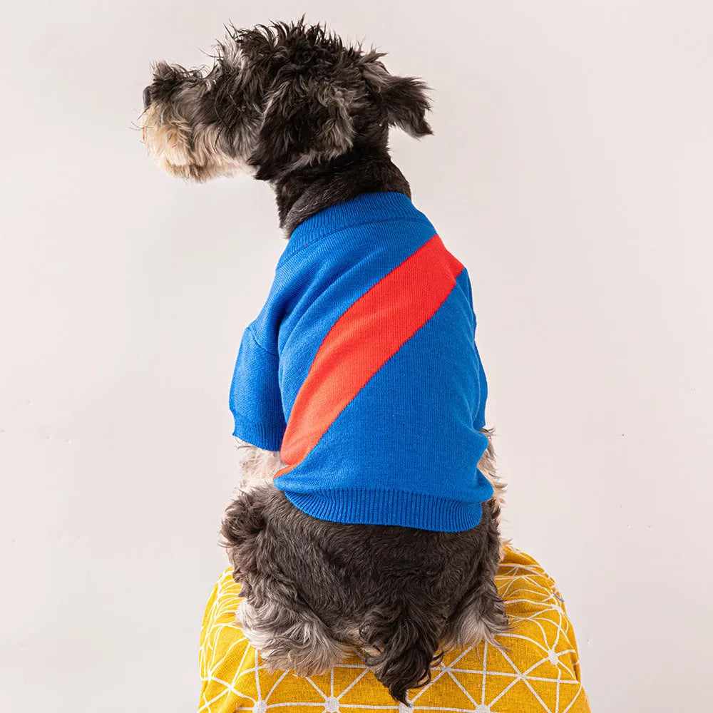 Corgi wearing a soft blue wool blend casual knit dog sweater.