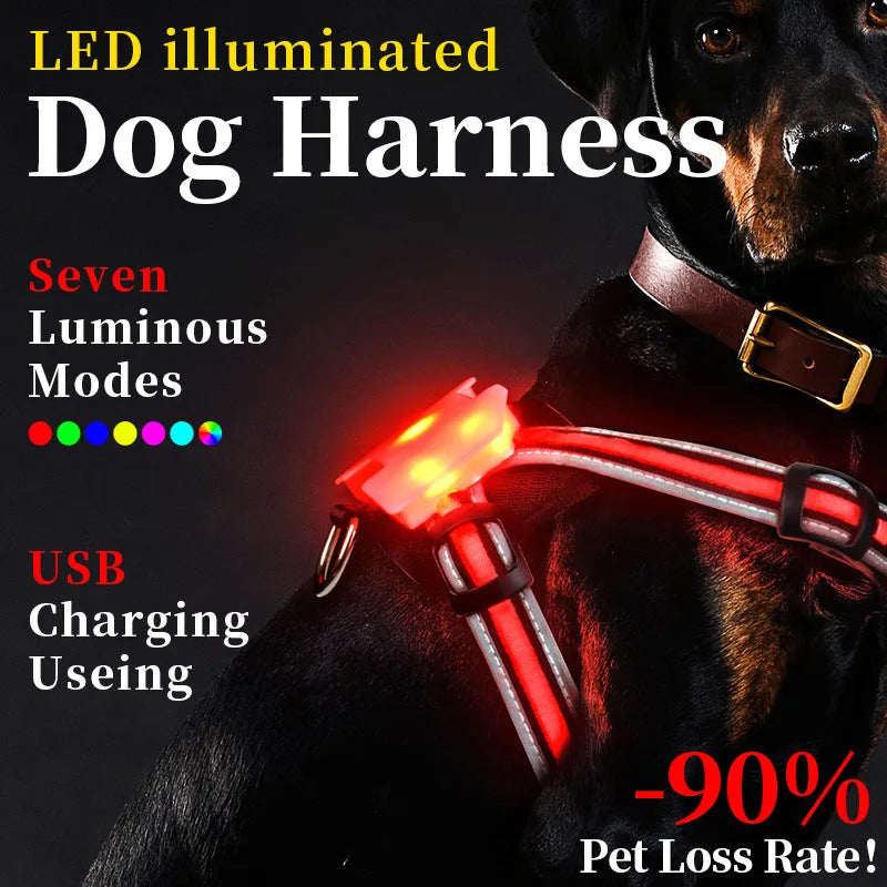 USB rechargeable luminous dog lead with seven colour-changing modes and nylon construction