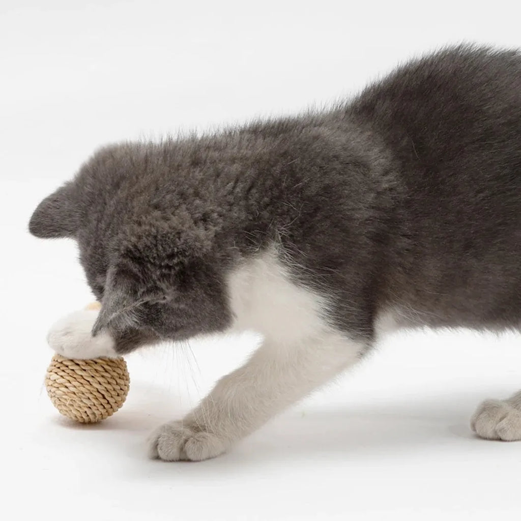 Two cat toys: hollow rattan ball and faux feather ball with bell for interactive play