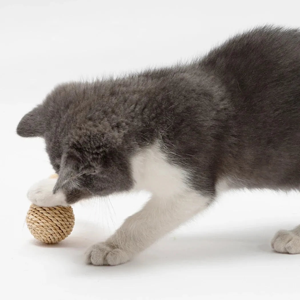Two cat toys: hollow rattan ball and faux feather ball with bell for interactive play