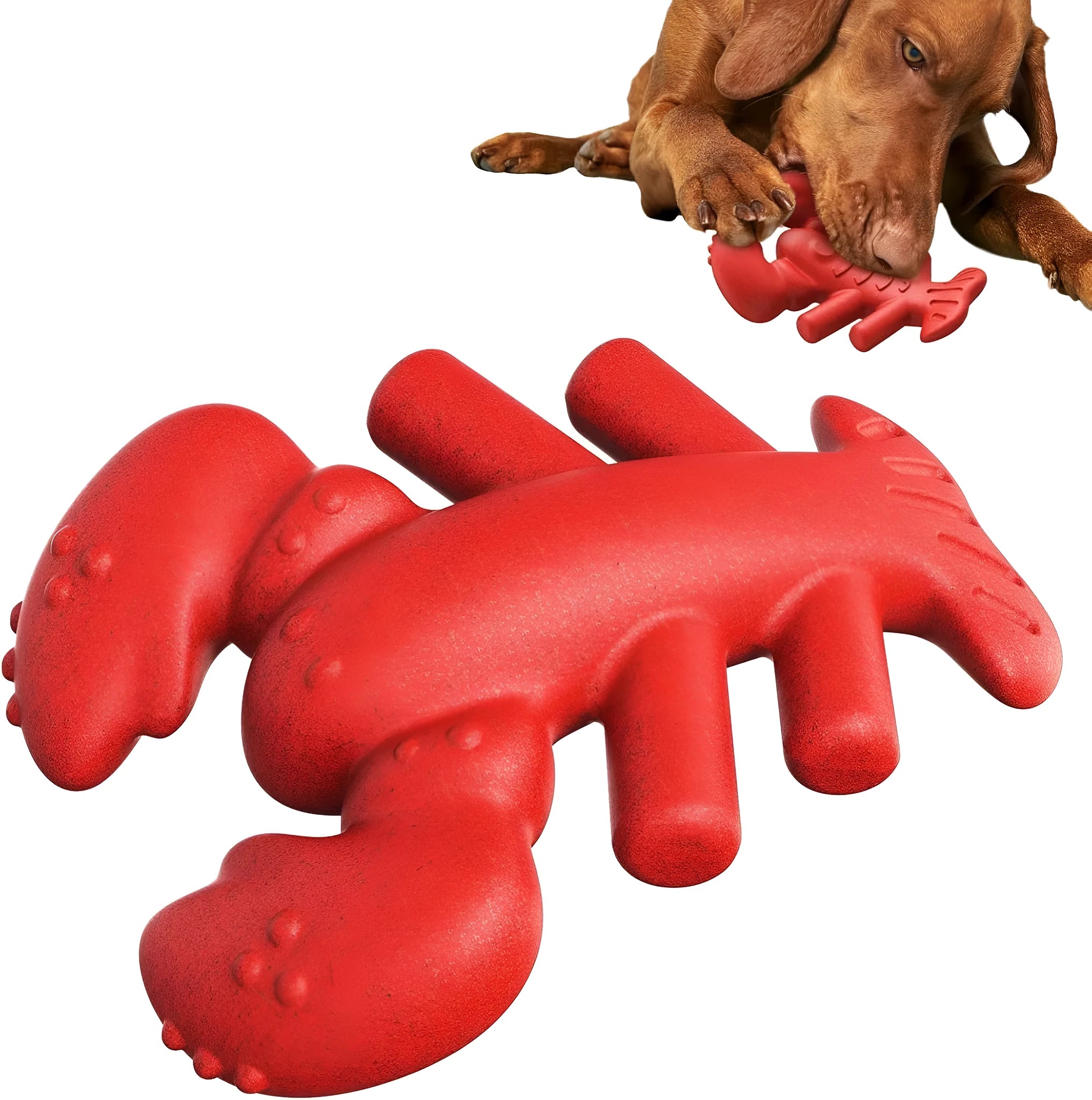 Red hard dog chew toy for aggressive chewers measuring 170mm for large breed dogs