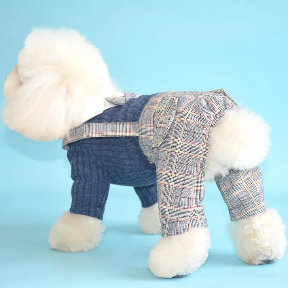 Orange and dark blue cotton dog shirt suit for small dogs on a hanger