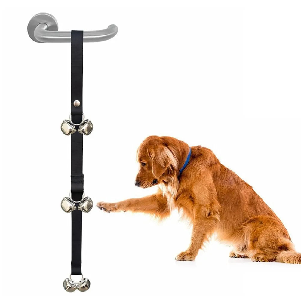 Silver metal dog training bells on an adjustable nylon leash for potty training