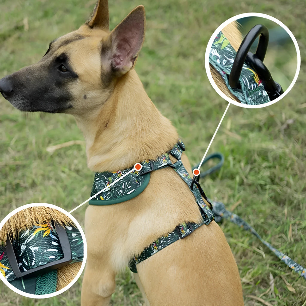 Adjustable cloth dog harness set with leash, collar, waste bag, bow, and bib accessories