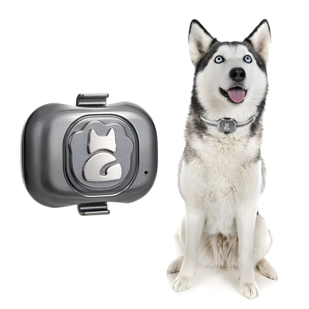 Black pet GPS locator tracker with hanging rope on a pet collar, showing compact design.