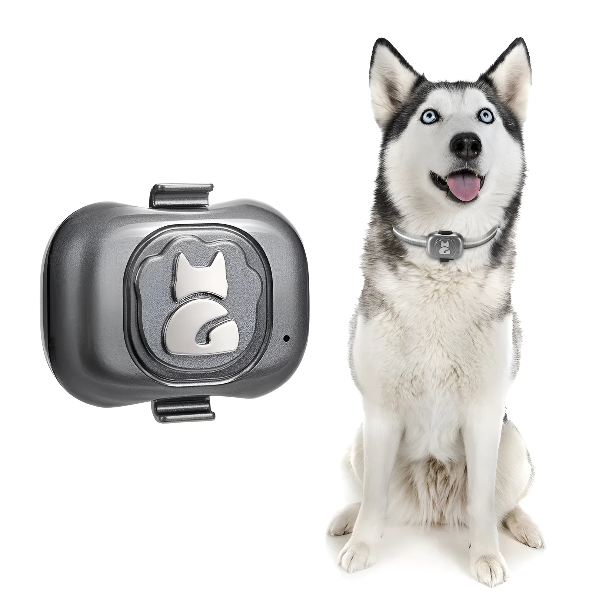 Black pet GPS locator tracker with hanging rope on a pet collar, showing compact design.