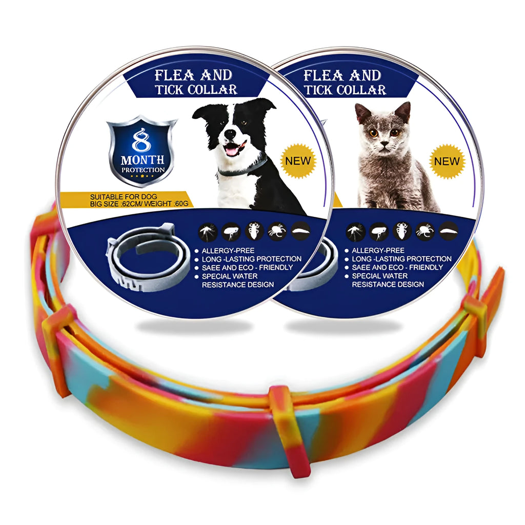 Rainbow coloured plastic flea repellent collar for pets in cat and dog size options