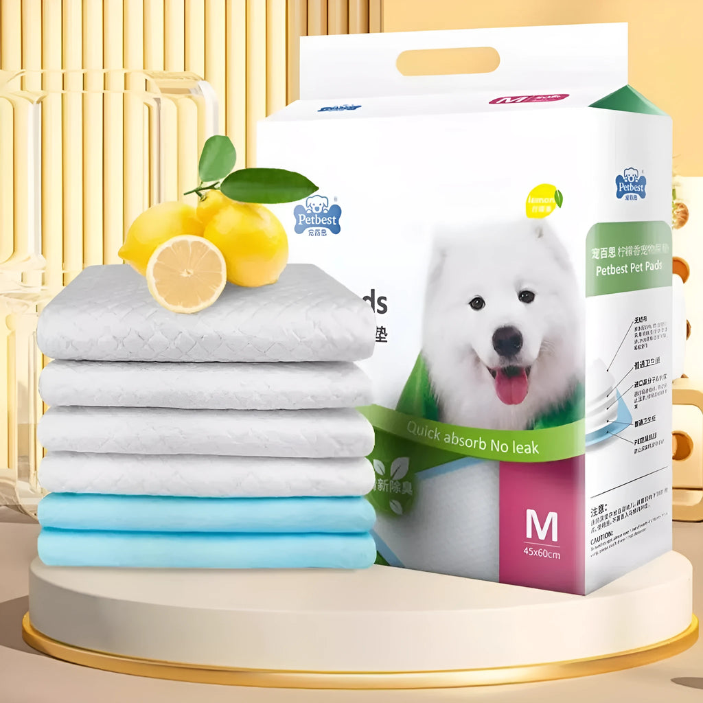 Thickened dog urine pads in blue and white with bamboo charcoal deodorant features for pet training