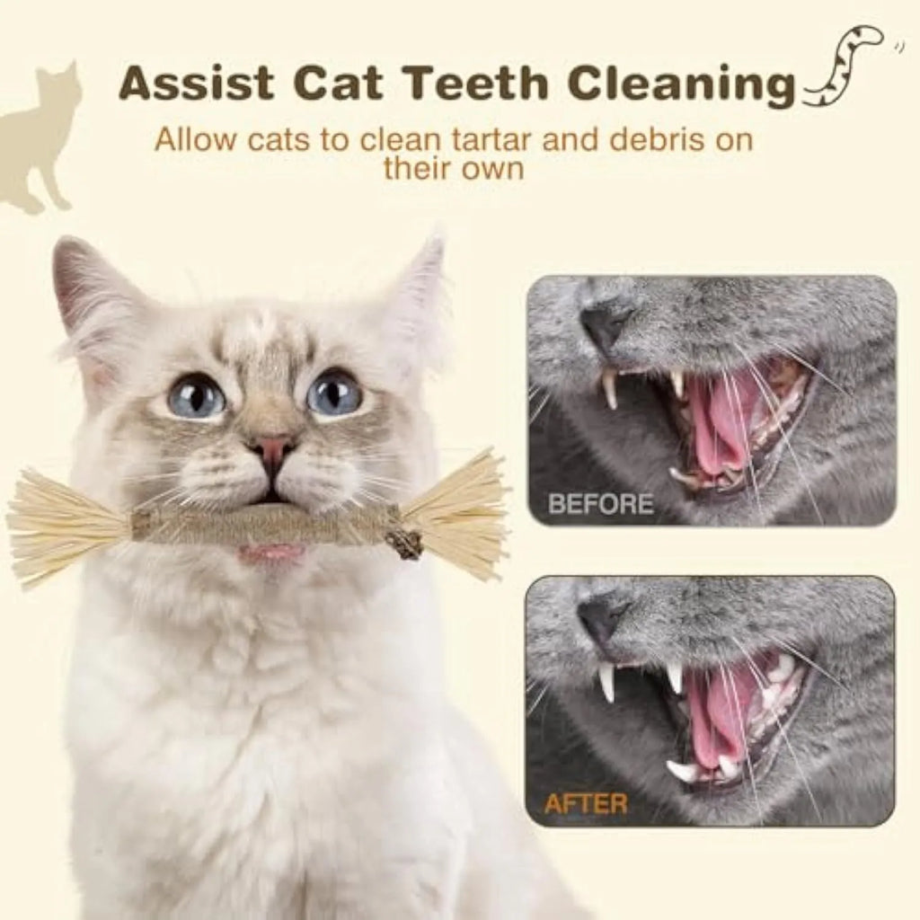 3 pack of natural silvervine chew sticks for cats with sisal rope, fine and thick diameter options