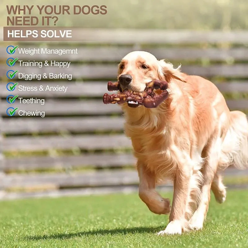 Scarlet nylon dog chew toy with beef flavour for aggressive chewers