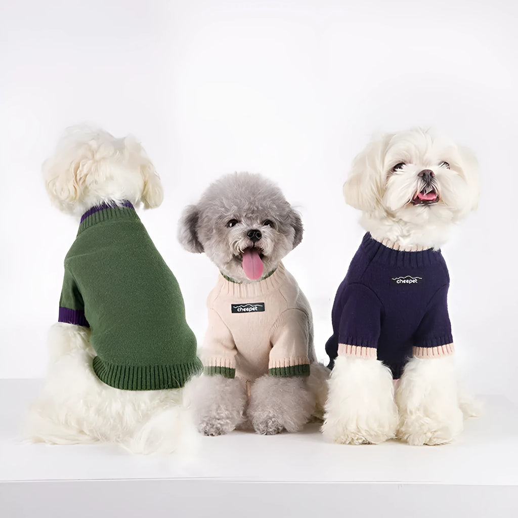 British style woollen pet sweater for dog or cat with contrast colour on two legs