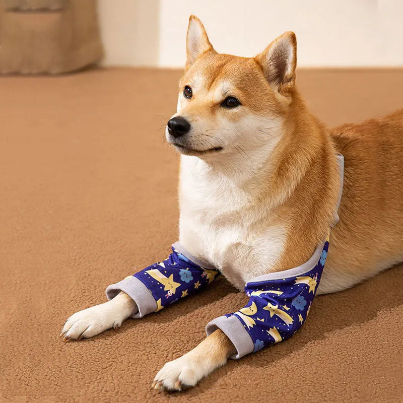 Dog wearing blue knee protector with padded elbow patch and matching scarf with dog print