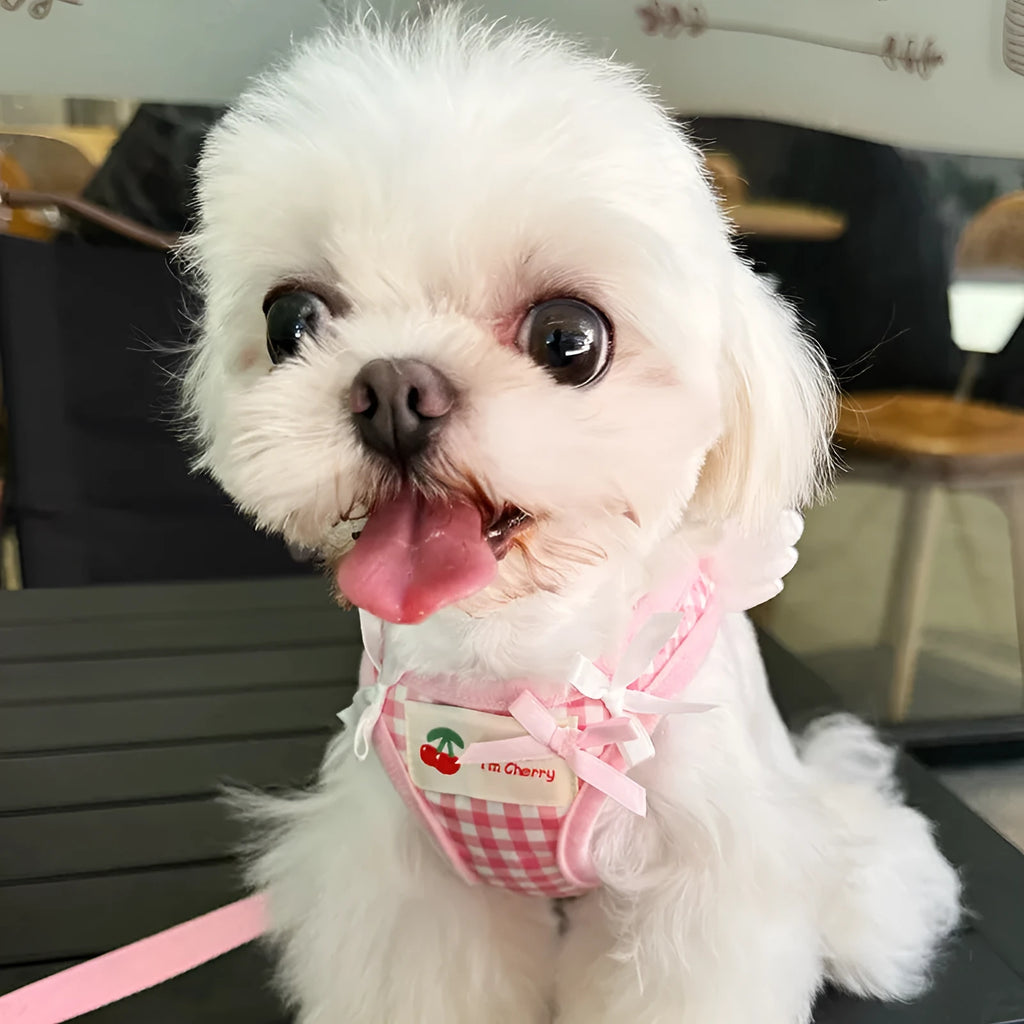 Cotton chest-back hand holding rope for small dogs in pink or black with adjustable sizing