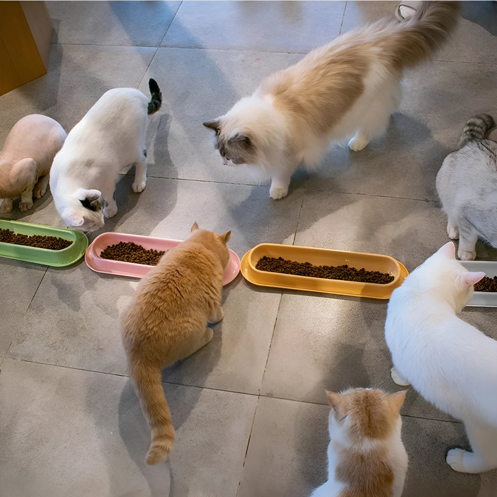 Green leakproof pet bowl with stainless steel interior and non-slip silicone base for dogs and cats.