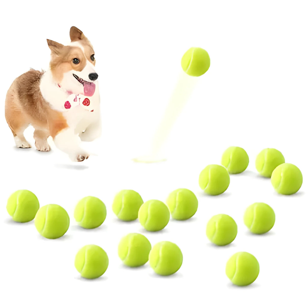 Rubber dog tennis ball toy in assorted colours with 6.3cm diameter for bite-resistant fetch games