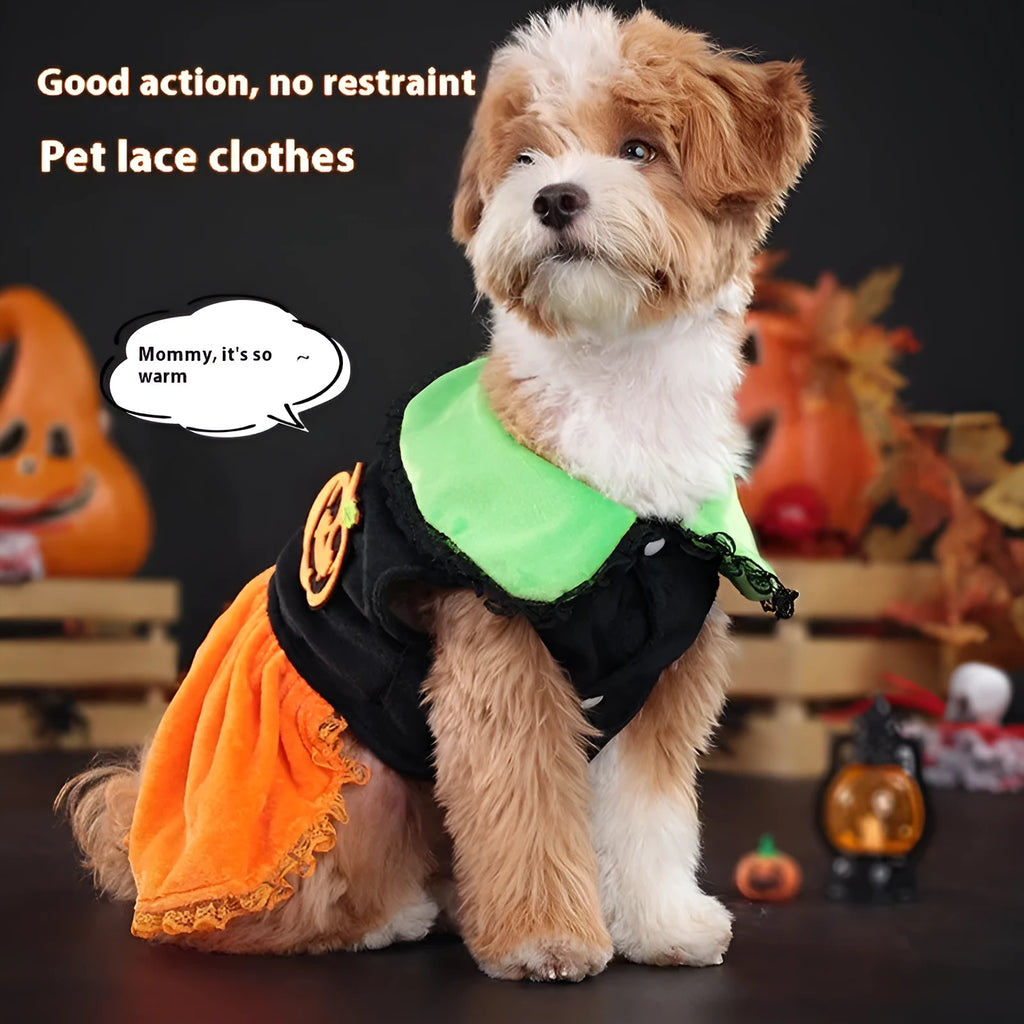 Halloween pumpkin skirt costume for small dog made from crystal velvet fabric with sizing tags