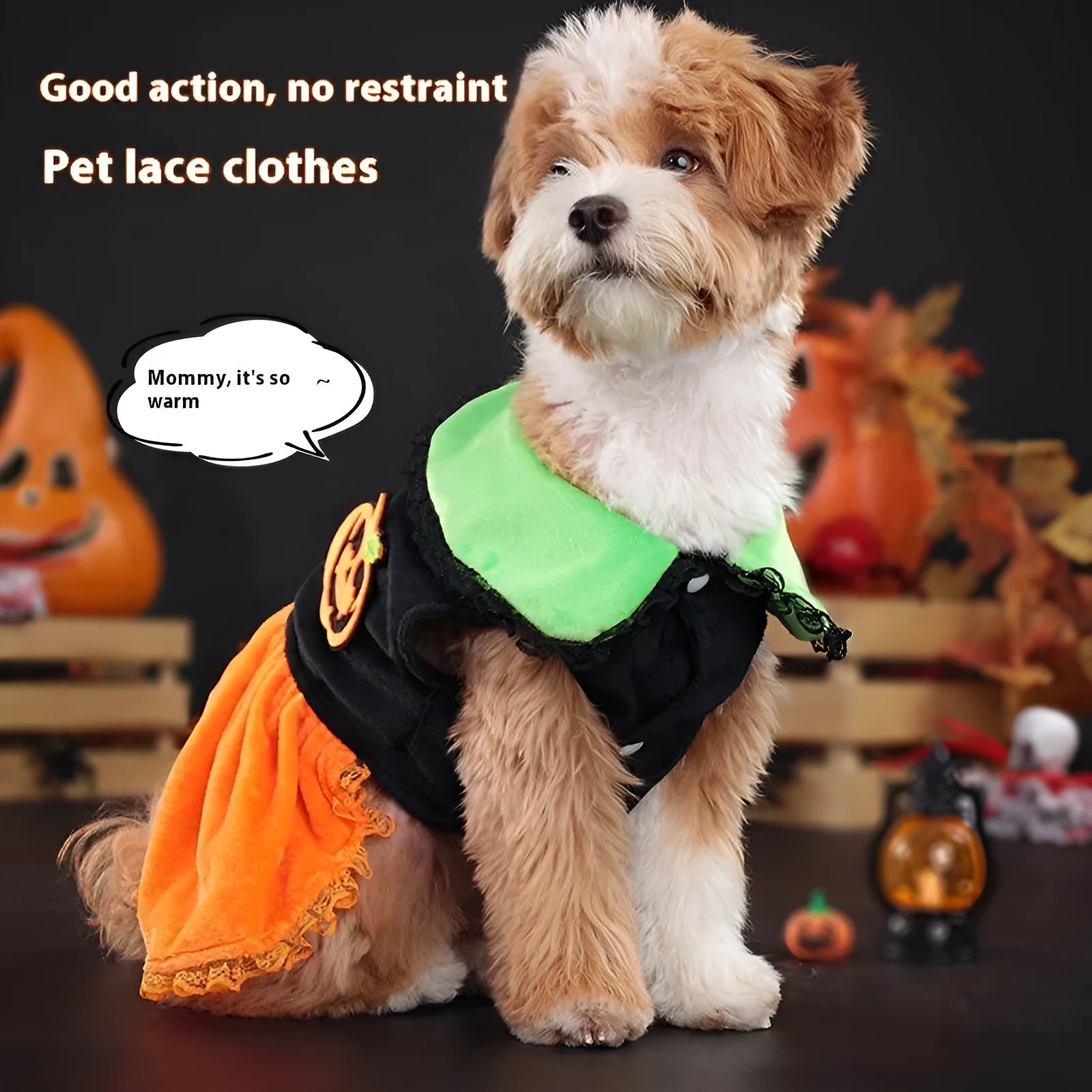 Halloween pumpkin skirt costume for small dog made from crystal velvet fabric with sizing tags