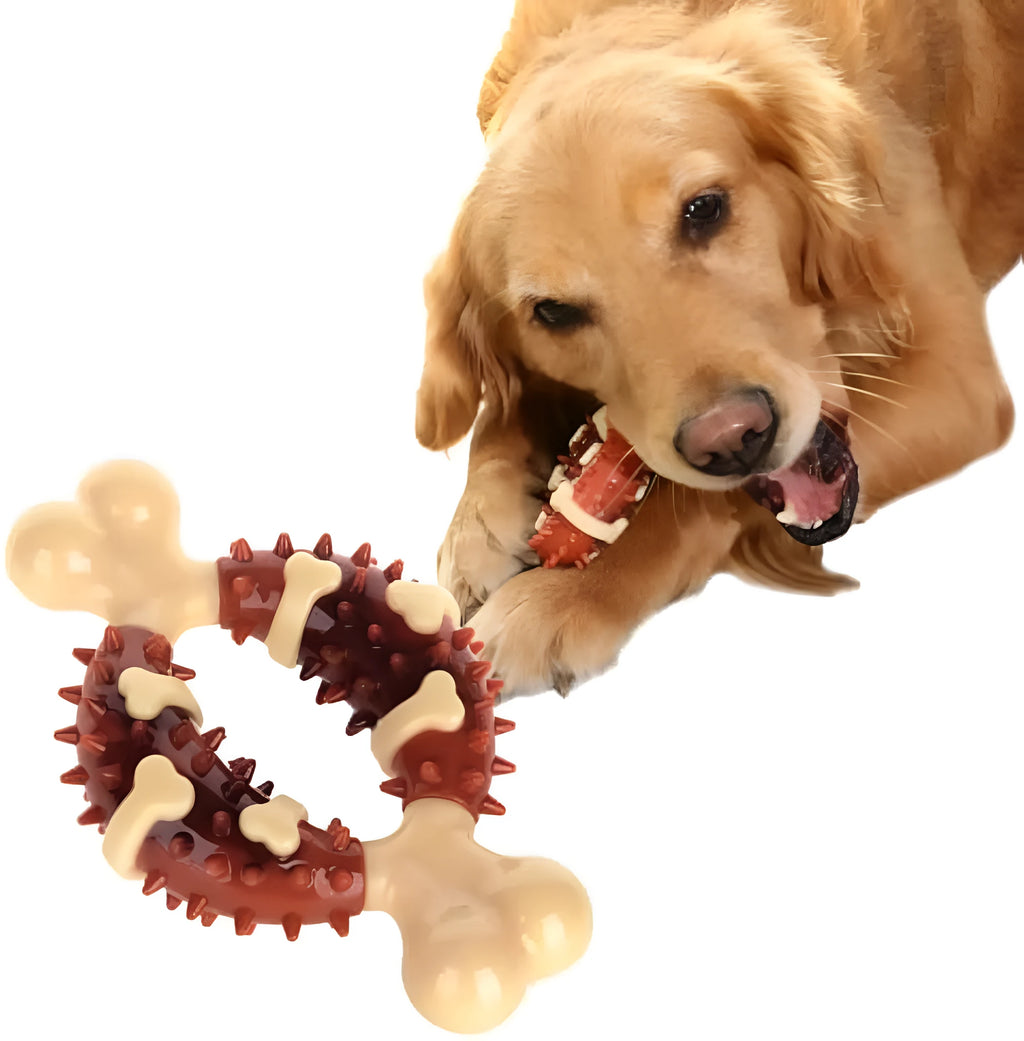 Bone-shaped natural rubber dog dental chew toy for teeth cleaning in large and small sizes.
