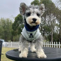 Blue and grey white slim-fitting pet hoodie with reflective letters for a dog or cat.
