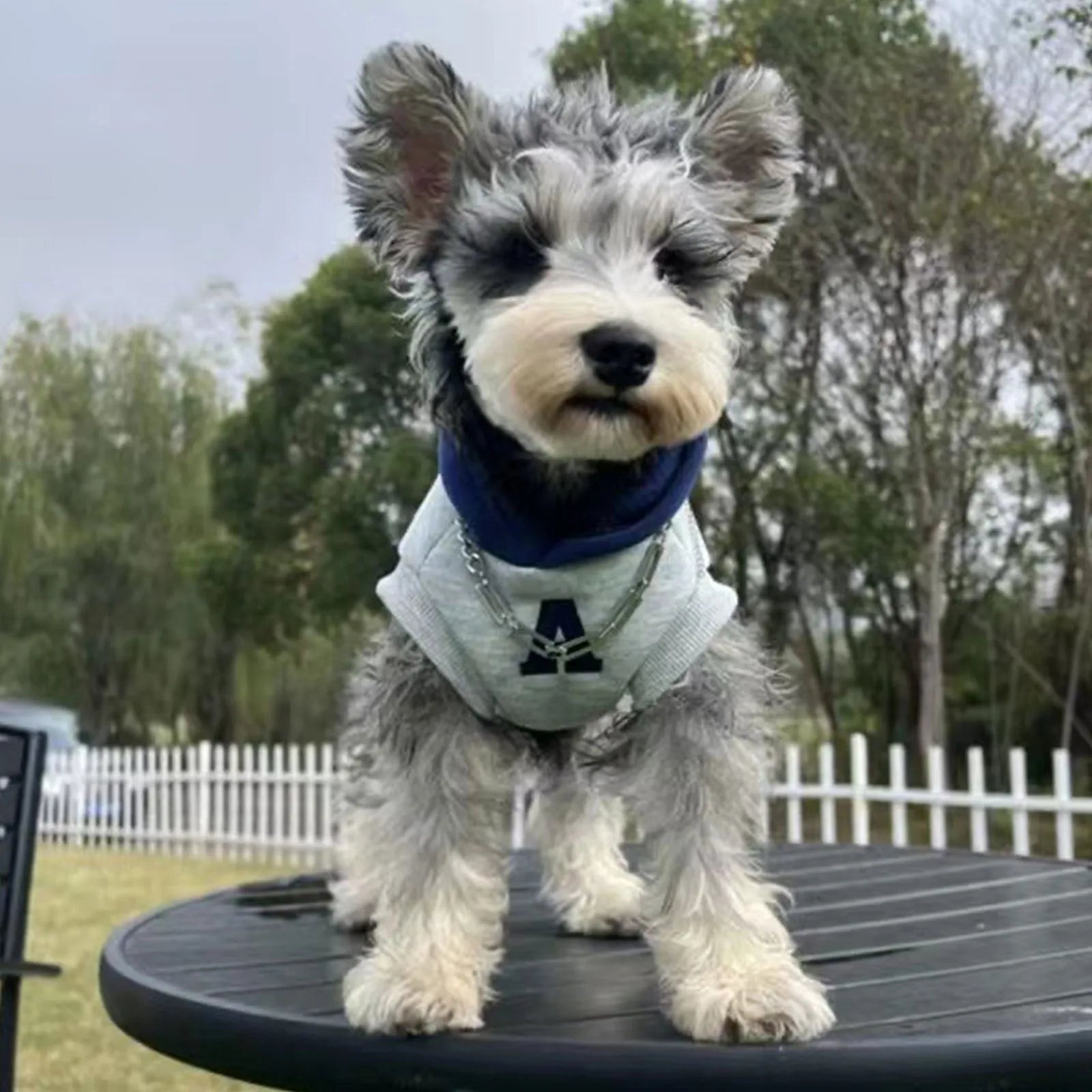 Blue and grey white slim-fitting pet hoodie with reflective letters for a dog or cat.