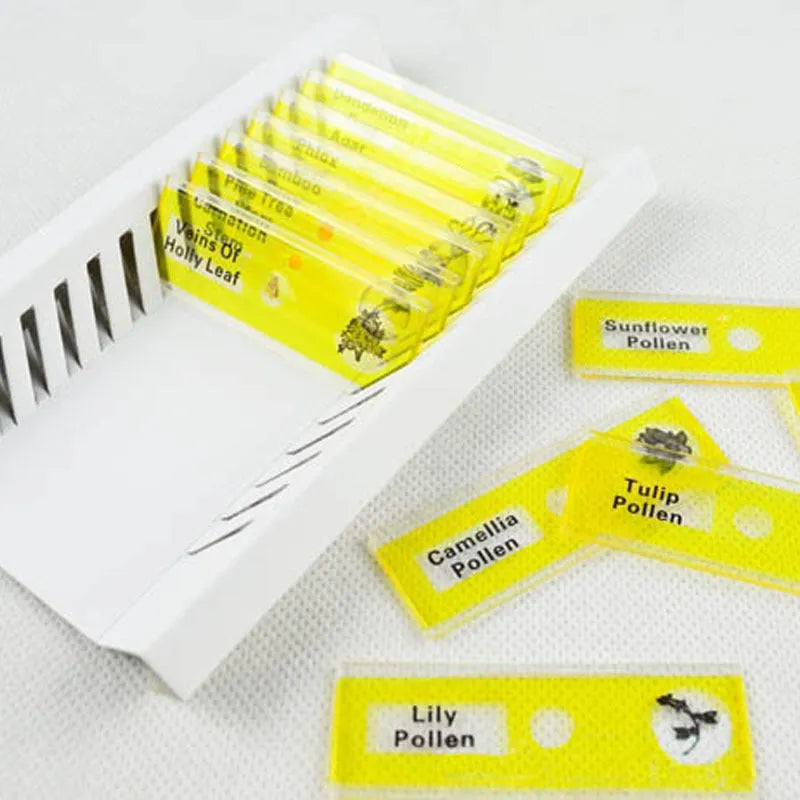 48 plastic microscope slides with biological specimens in red, green, yellow, and blue colour-coded boxes