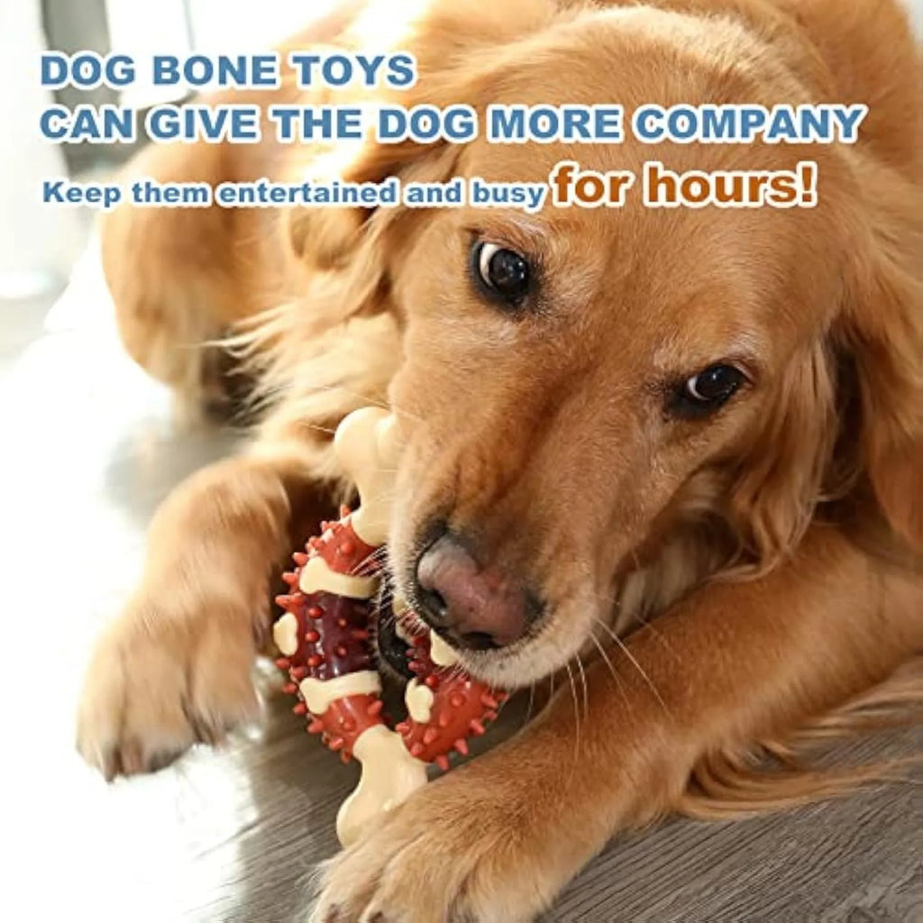 Bone-shaped natural rubber dog dental chew toy for teeth cleaning in large and small sizes.