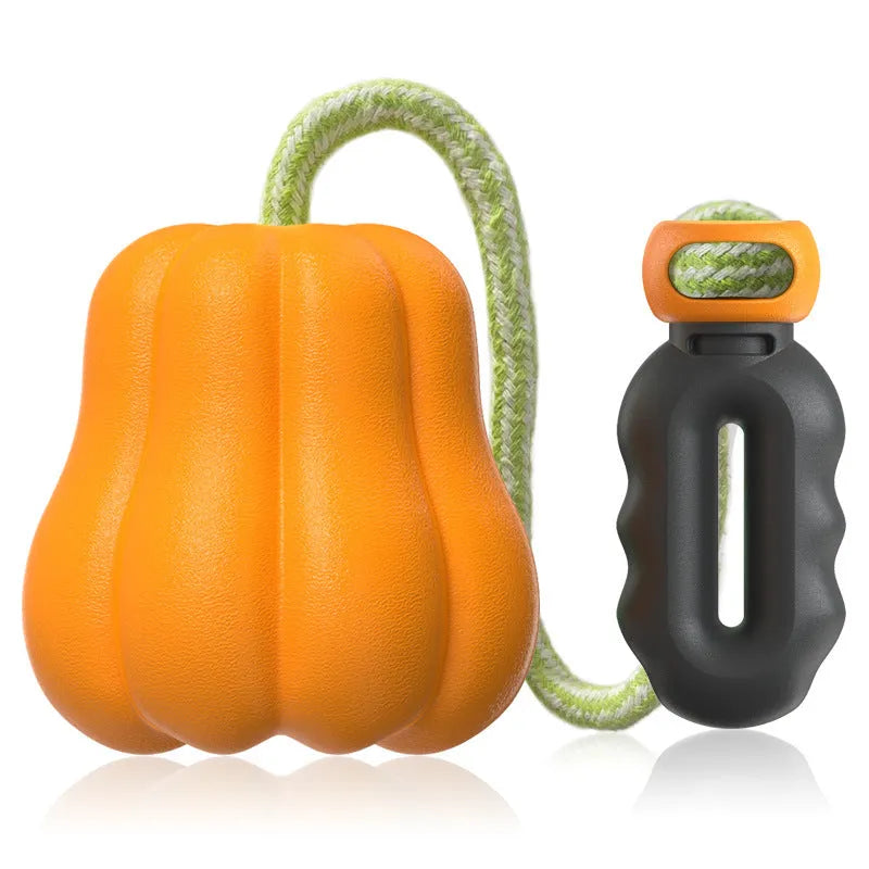Orange pumpkin-shaped plastic dog chew toy with blue rope attached for tugging and fetching