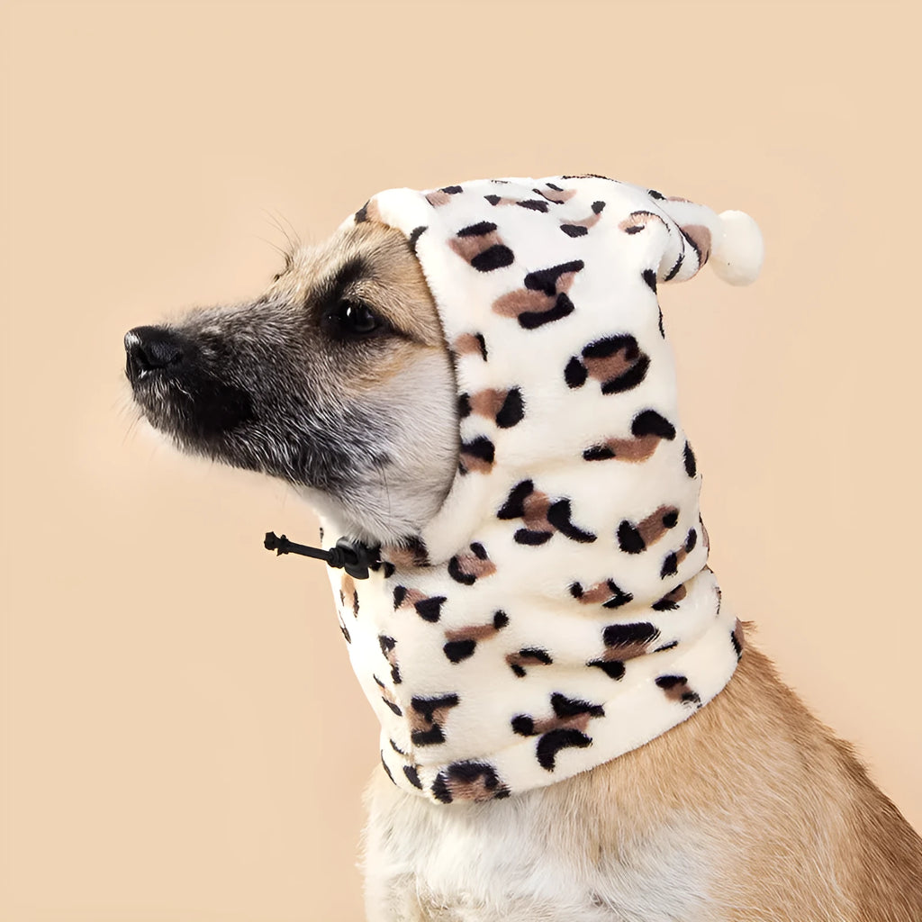 Pet wearing cloth headgear with combined bear and rabbit ears in leopard print colour