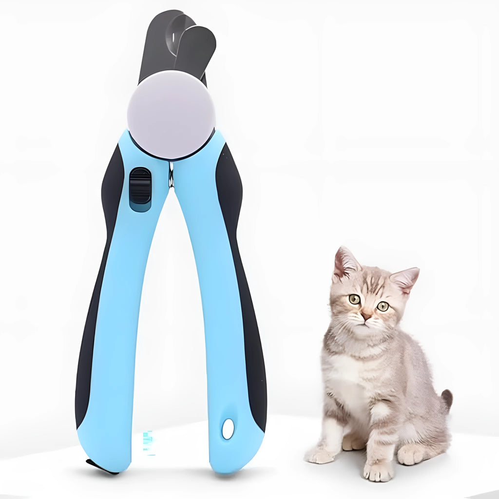 Blue heavy-duty dog nail clippers with a visible safety guard, shown next to a dog's paw.