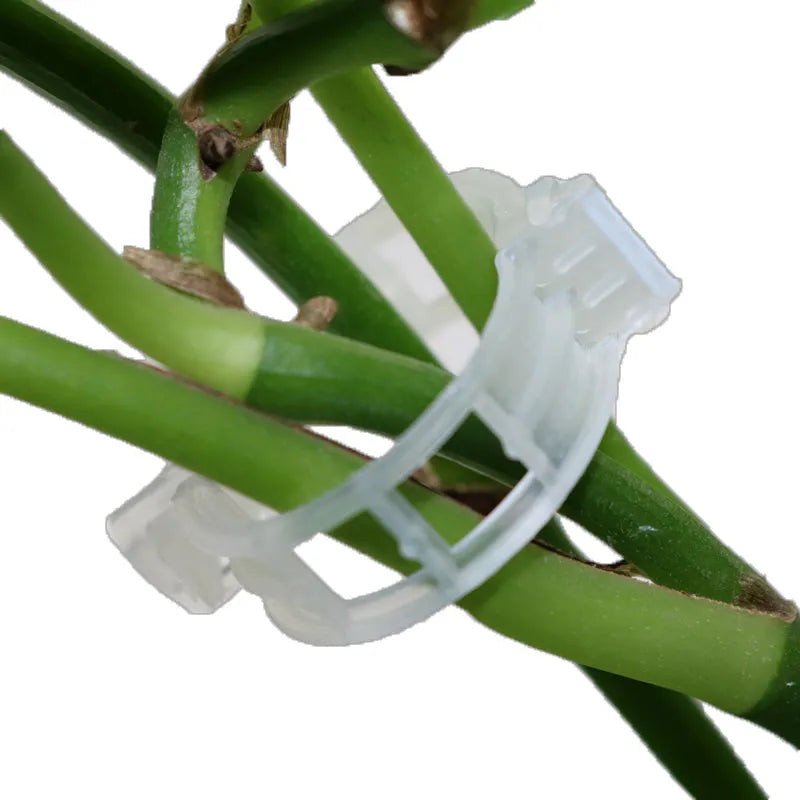 50 plastic tomato flower gardening clips for plant support and twig training