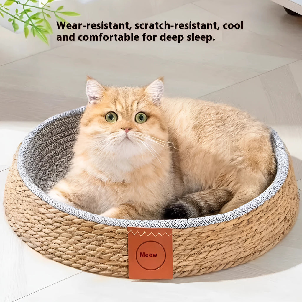 Natural woven rattan cat bed with a soft cushion inside, shown in a neutral home setting.