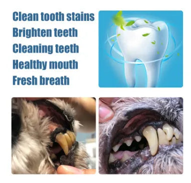 Pet teeth whitening pen set with two applicators and dental brushes for dog and cat tartar removal