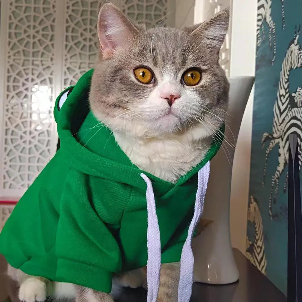 Green frog pattern hoodie on a small dog, showing hood and soft material, for Halloween cosplay.