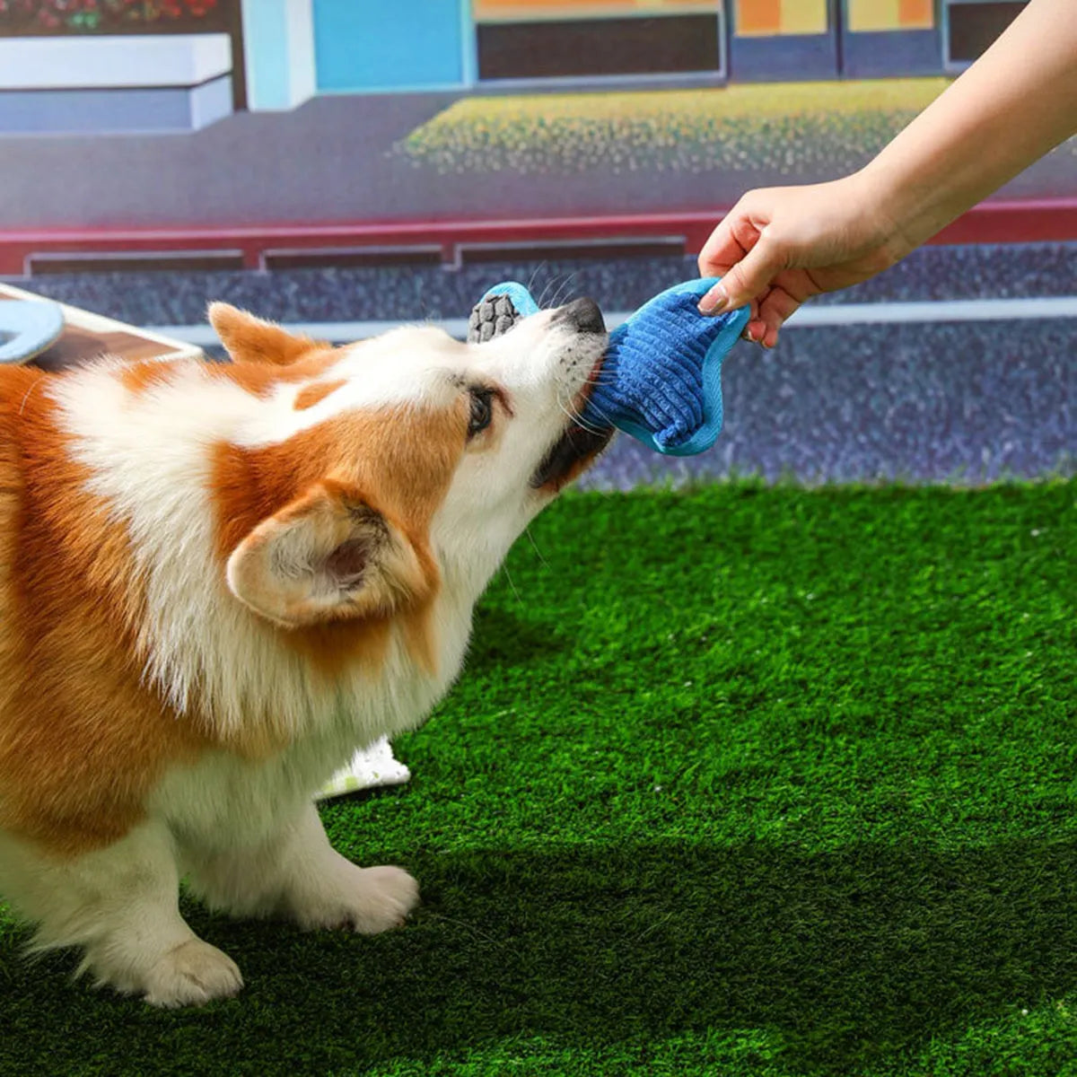 Blue dog toy with a squeaker bone, showing soft corn fleece lining and bite-resistant texture.