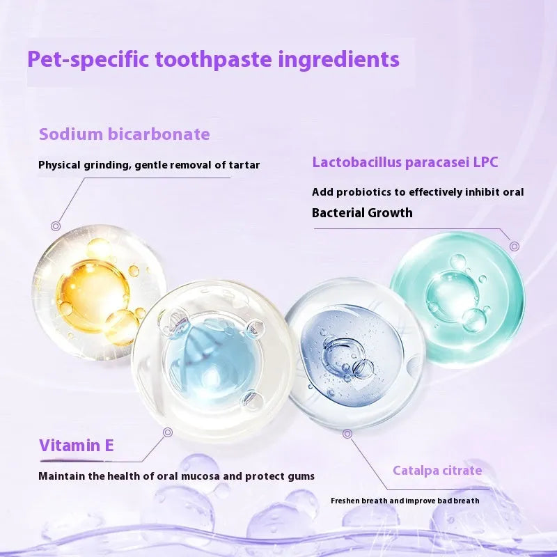 5ml pet teeth whitening pen with brush applicator for dog and cat dental cleaning at home