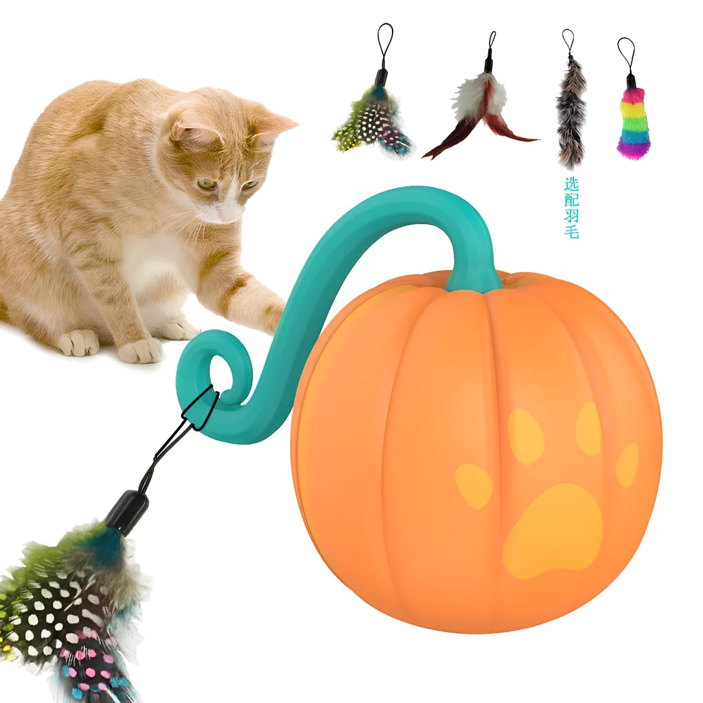 Electric glowing cat ball toy in watermelon and pumpkin designs for pet play.